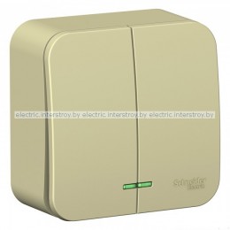 Выключатель двухклавишный с/п 10А 250В BLANCA бежевый
